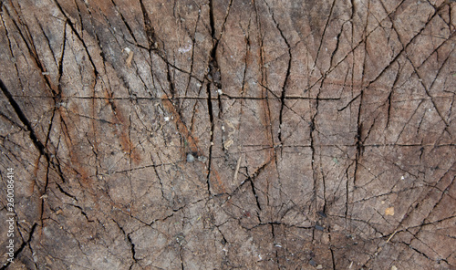 Wooden natural brown background with scars and patterns. Wooden slats. Burned Tree