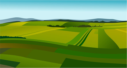 Acrylglasbilder Pistache Rural landscape with green fields  © czibo