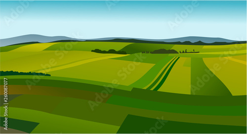 Rural landscape with green fields