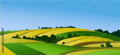 Rural landscape with green fields