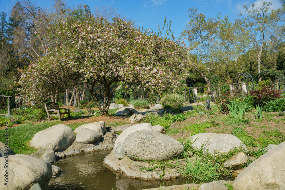 Beautiful garden of Descanso Garden Beautiful garden of Descanso Garden
