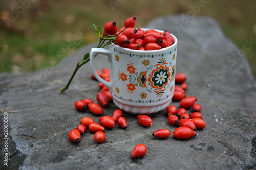 Rose hips in a mug