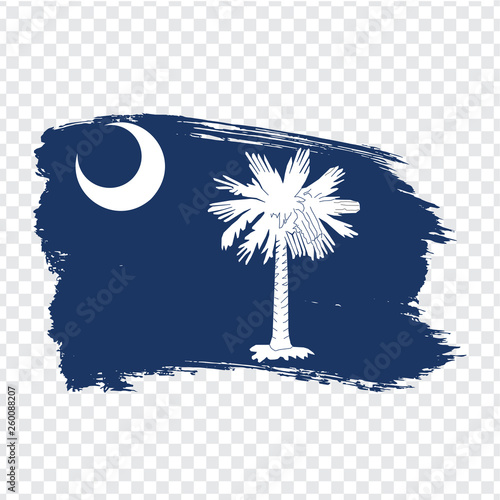 Flag of South Carolina from brush strokes. United States of America.  Flag South Carolina on transparent background for your web site design, logo, app, UI. Stock vector. Vector illustration EPS10.