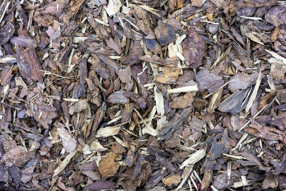 Wood chips. Waste from lumber. Wooden background. Wood chips. Waste from lumber. Wooden background.
