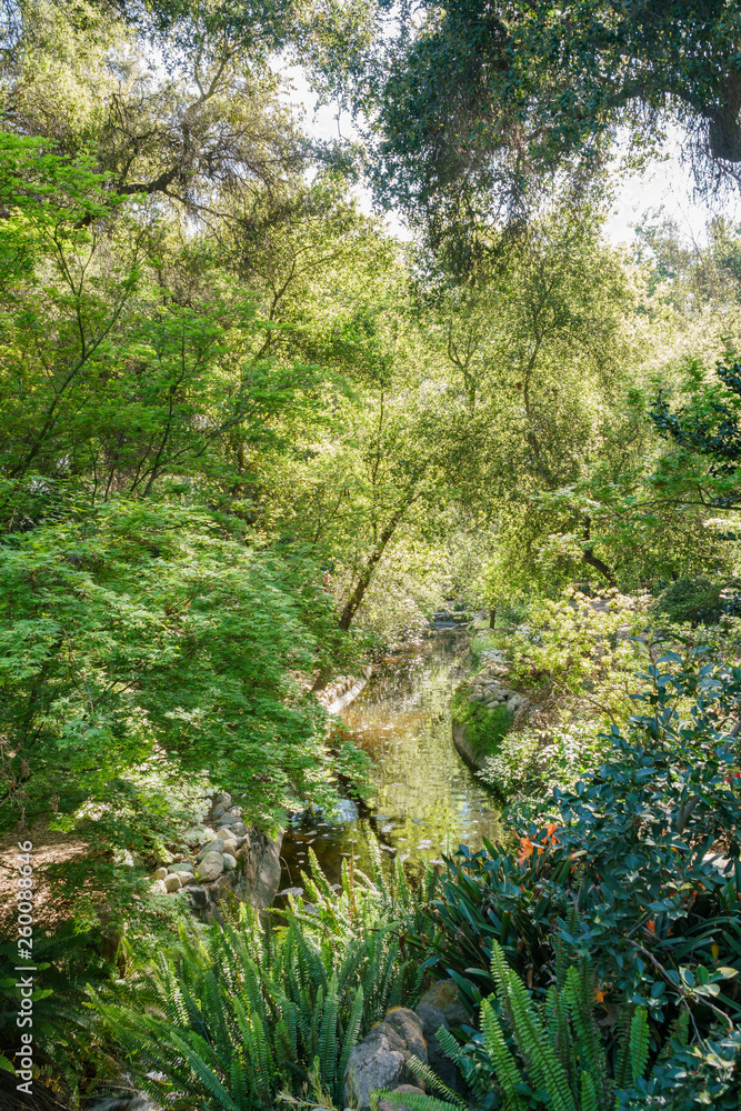 Obraz premium Beautiful garden of Descanso Garden