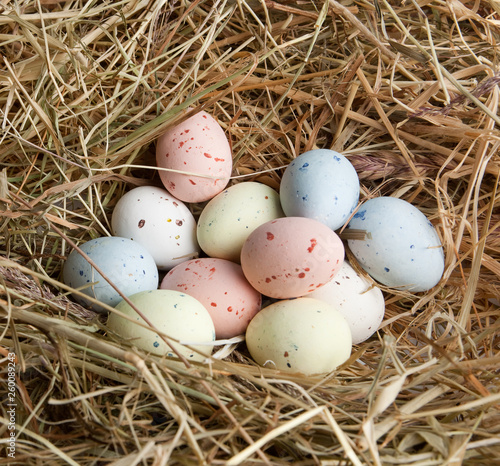Pastel eggs in nest
