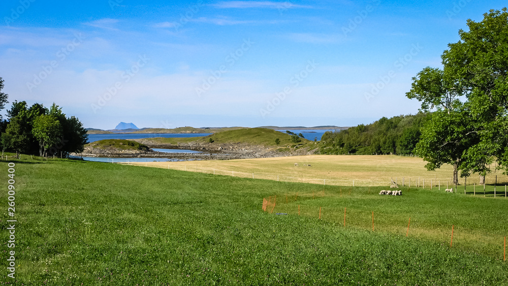 Fototapeta premium Fields and pastures near the fjords of Norway