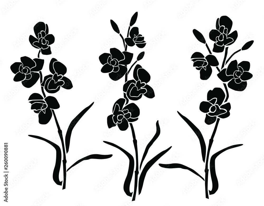 Fototapeta premium Collection of silhouettes of flowers, orchid, different branches, blossom, vector, black color, isolated on white background