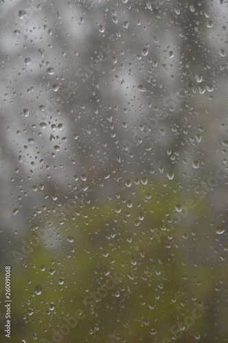 Rain drops on the window 