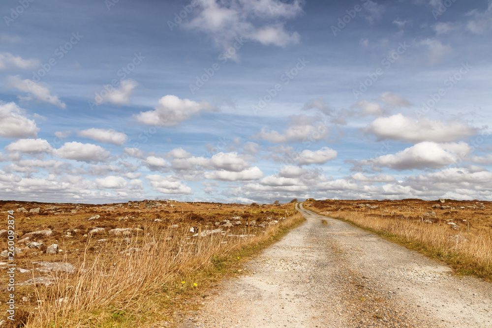 Farm road in a bog with typical vegetation and rocks Farm road in a bog with typical vegetation and rocks
