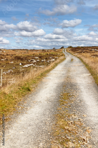 Farm road in a bog with typical vegetation and rocks photo