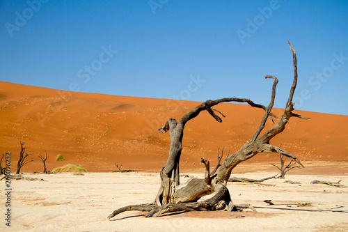 Dead vlei in Namibia