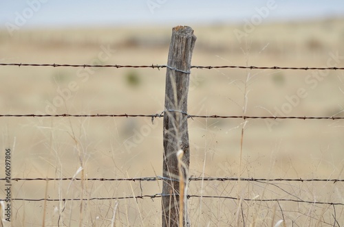 Fence, West Texas