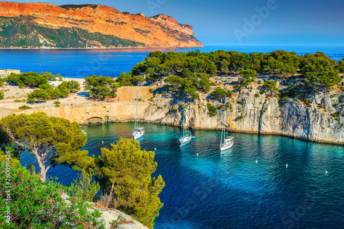 Calanques de Port Pin bay in Cassis near Marseille, France