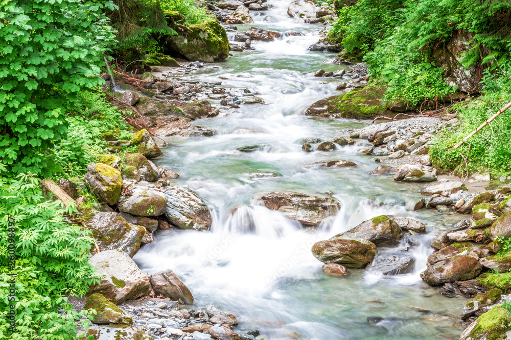 Fototapeta premium Forest mountain river running over rocks