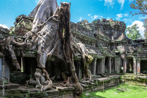Angkor, Siem Reap photo