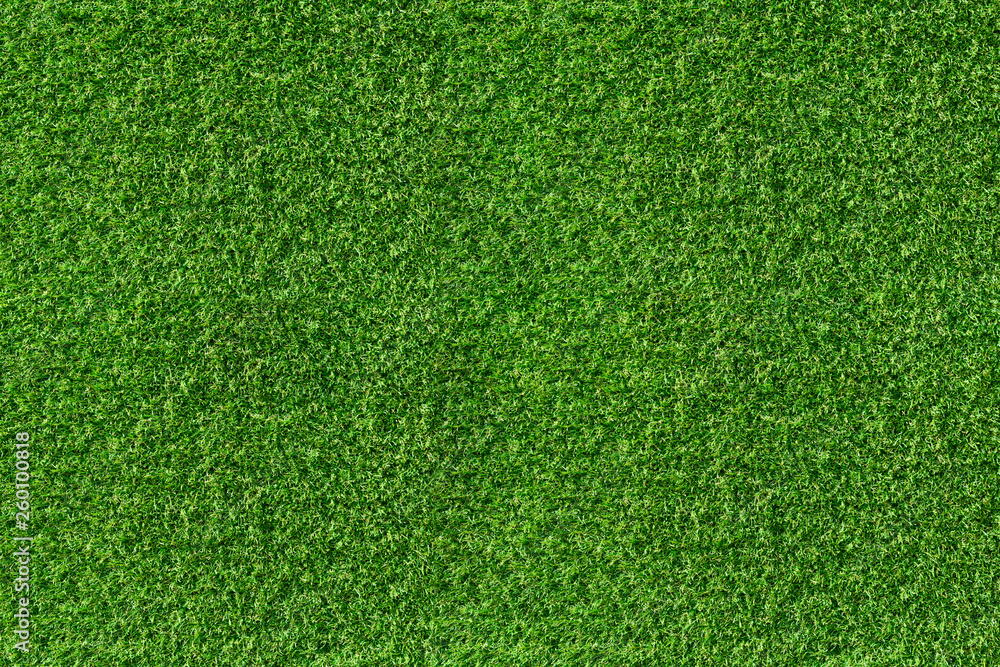 Obraz premium Top view of green grass texture