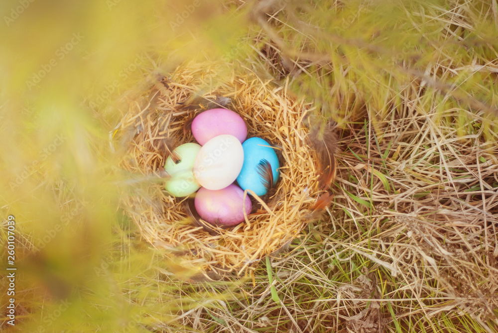 Happy Easter. Colorful Easters eggs in a nest with feathers. Happy Easter. Colorful Easters eggs in a nest with feathers.