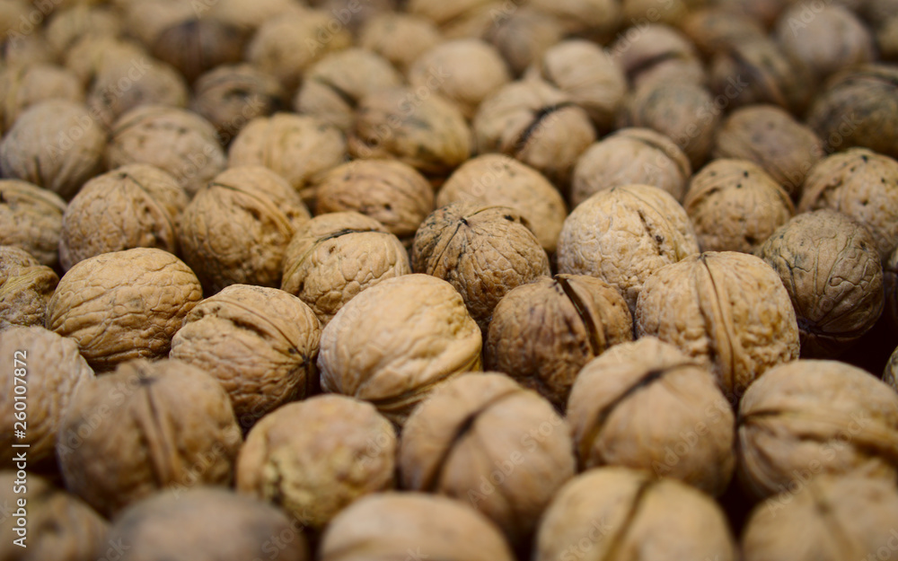A good harvest of walnuts laid out to dry