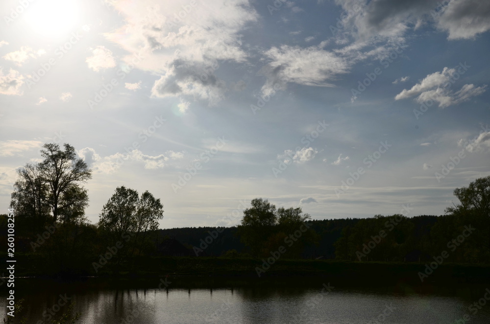 Fototapeta premium Summer landscape, pond and forest on the horizon.