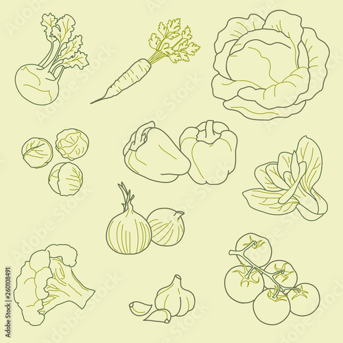 Set of hand-drawn vegetables, organic, healthy food, vector
