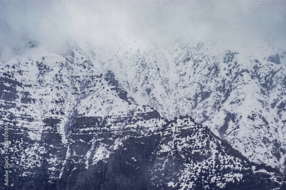 Obraz premium My photos