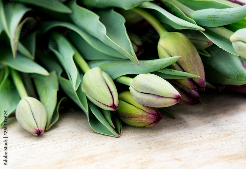 Tulip bouquet still life ( selective focus ) Tulip bouquet still life ( selective focus )