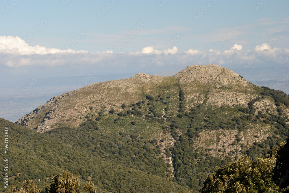Monte Margiani visto dalla Punta Santu Miali