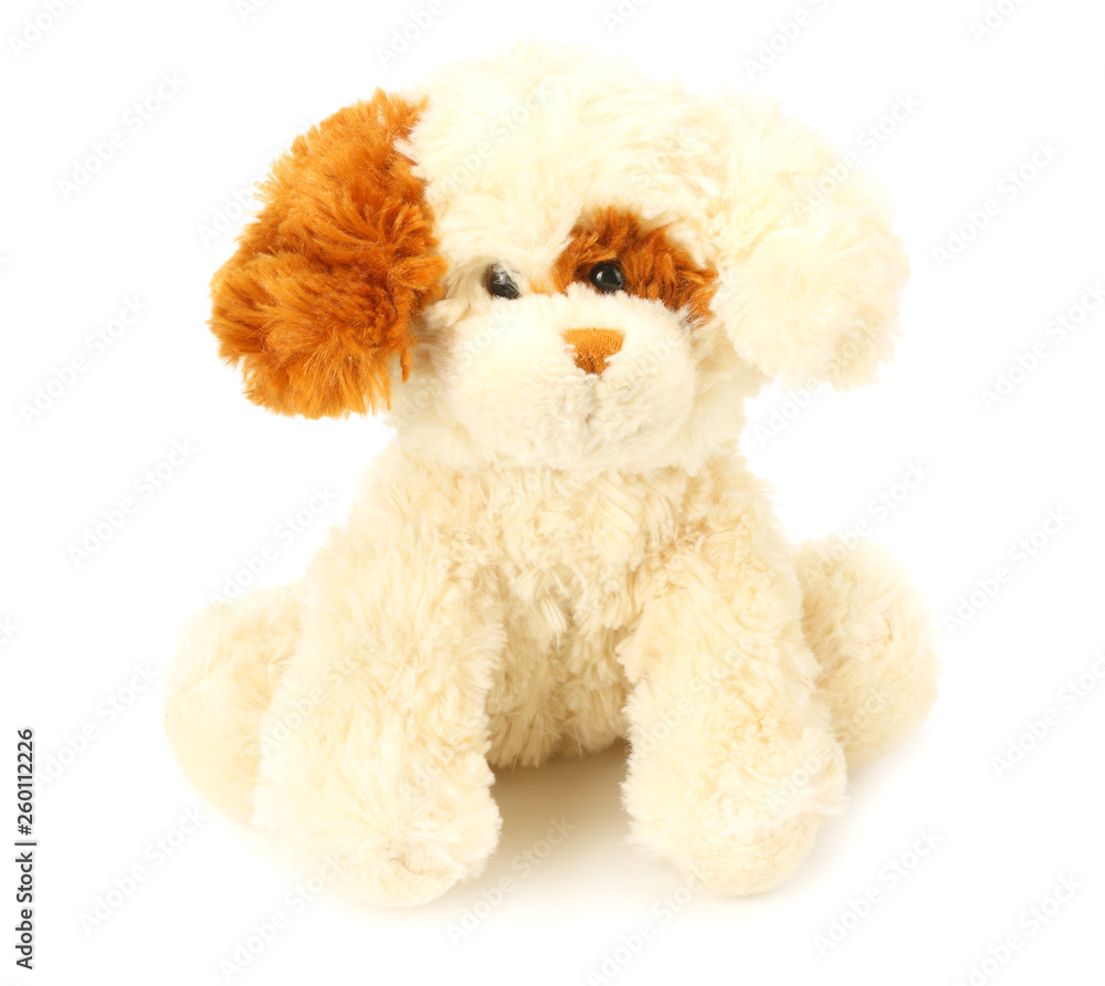 toy dog isolated on a white background