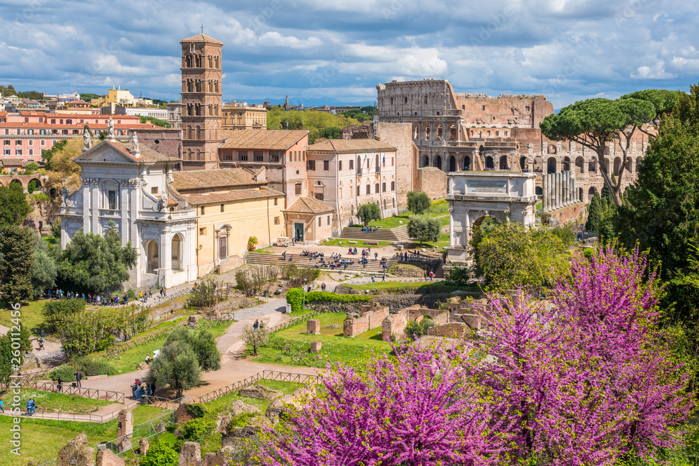 The roman forum with purple flowers during spring time. Rome, Italy.