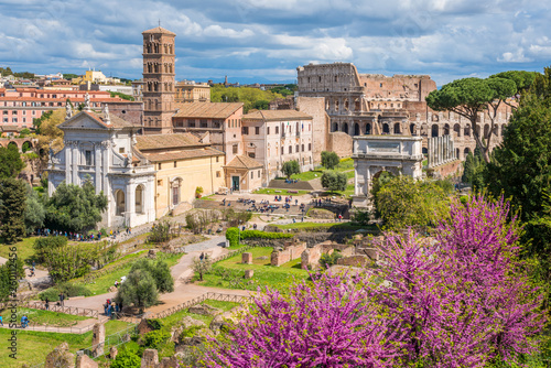 Obraz na plátně The roman forum with purple flowers during spring time