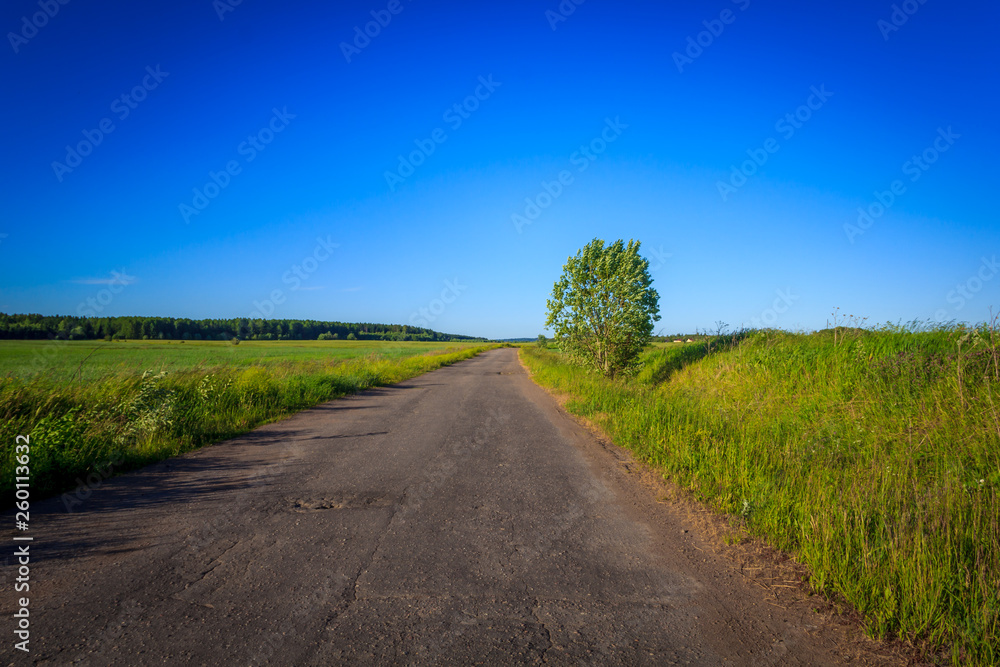 The road to the field. Russian open spaces. asphalt