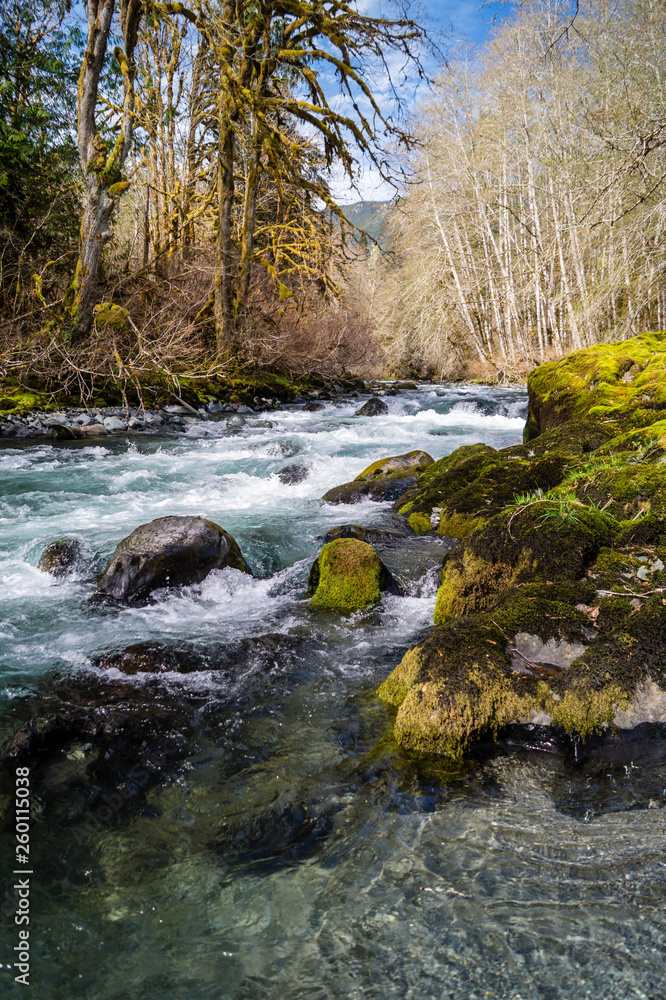 White water rapids on the Dosewallips river in Washington on the Olympic Peninsula White water rapids on the Dosewallips river in Washington on the Olympic Peninsula