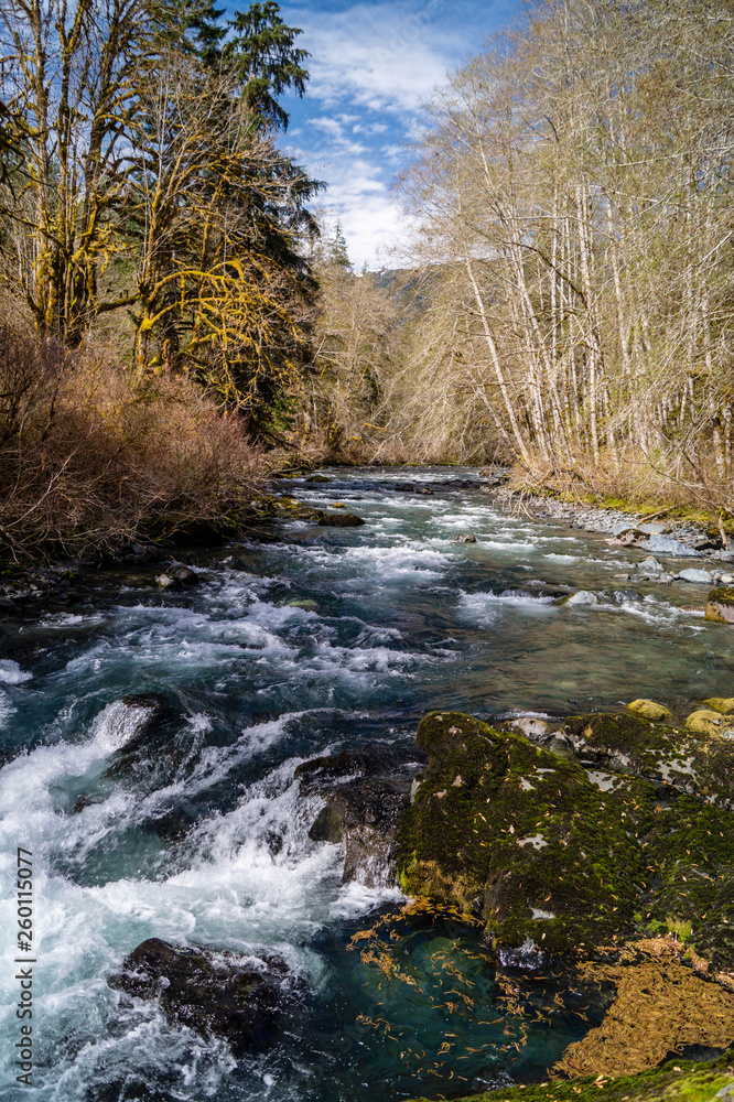 The Dosewallips River flowing on the Olympic Peninsula of Washington near Brinnon, Washington The Dosewallips River flowing on the Olympic Peninsula of Washington near Brinnon, Washington