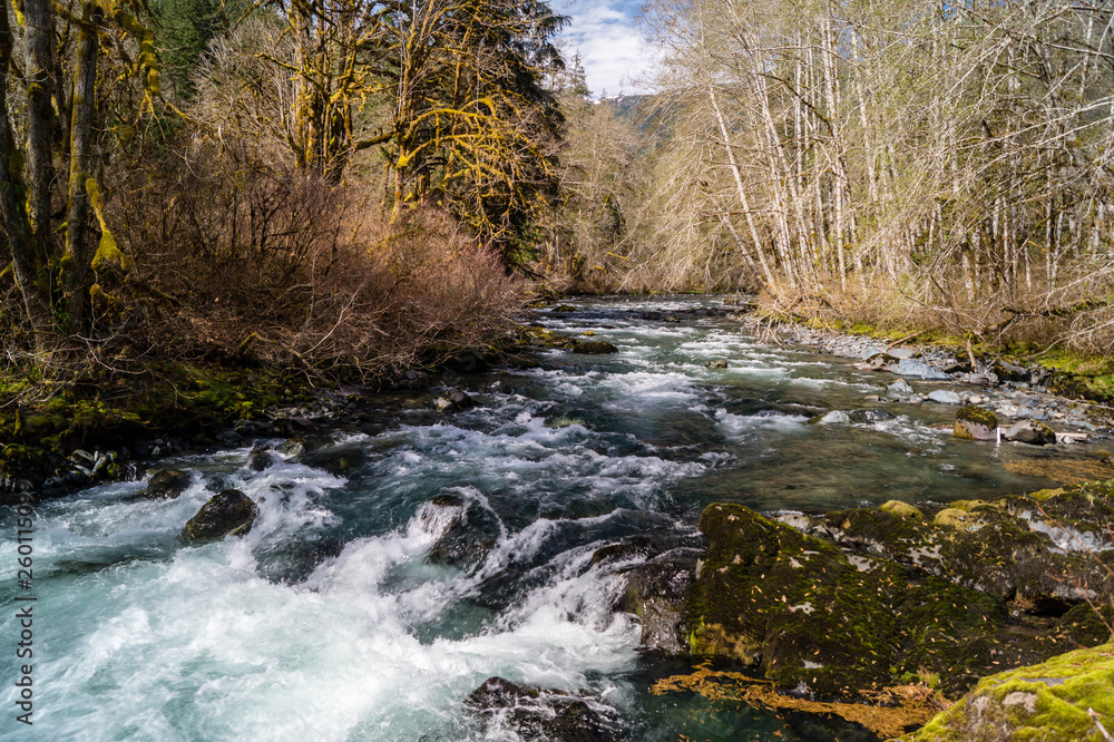 A shady spot on the Dosewallips River flowing on the Olympic Peninsula of Washington near Brinnon, Washington A shady spot on the Dosewallips River flowing on the Olympic Peninsula of Washington near Brinnon, Washington