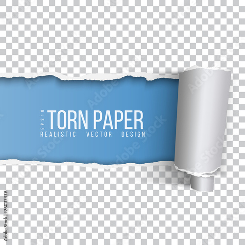 realistic torn paper with rolled edge