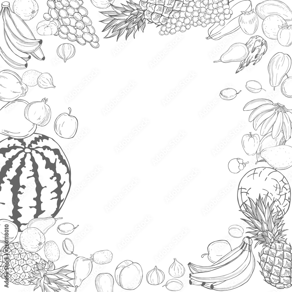 Hand drawn fruits on white background. Vector sketch illustration. Hand drawn fruits on white background. Vector sketch illustration.