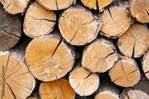 Oak firewood stacked in a pile.