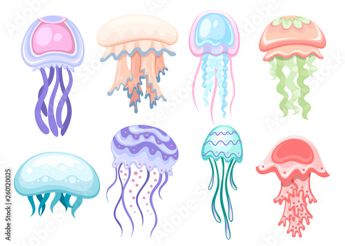 Set of Sea jellyfish. Tropical underwater animal. Medusa aquatic organism, cartoon style design. Flat vector illustration isolated on white background