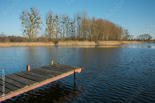 Jetty with planks on a calm lake. Trees and reeds on the shore and a clear sky