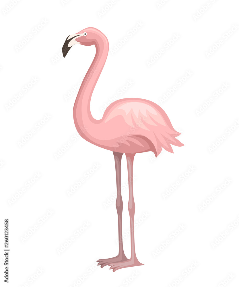 Fototapeta premium Cute animal, peach pink flamingo. Cartoon animal character design. Flat vector illustration isolated on white background. Flamingo standing on two legs