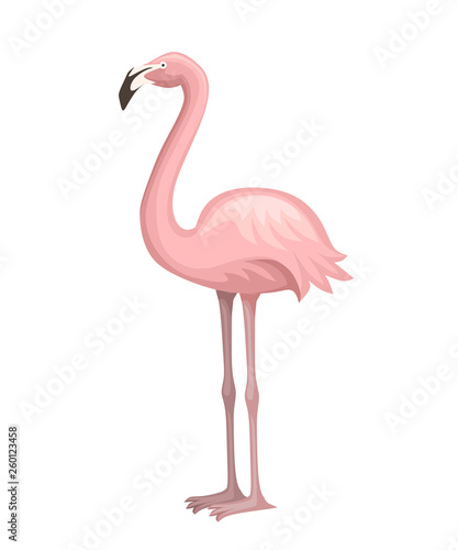 Cute animal  peach pink flamingo. Cartoon animal character design. Flat vector illustration isolated on white background. Flamingo standing on two legs