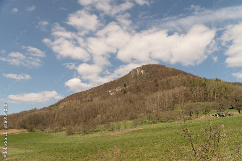 Fototapeta premium Landscape