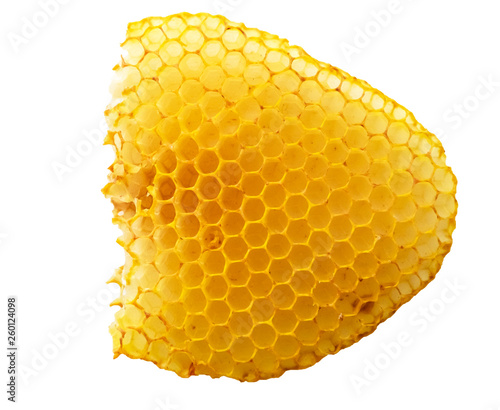 Obraz w ramie Empty bees honeycombs without honey closeup isolated