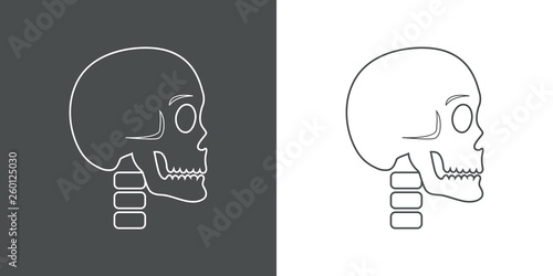 Icono plano lineal calavera en gris y blanco