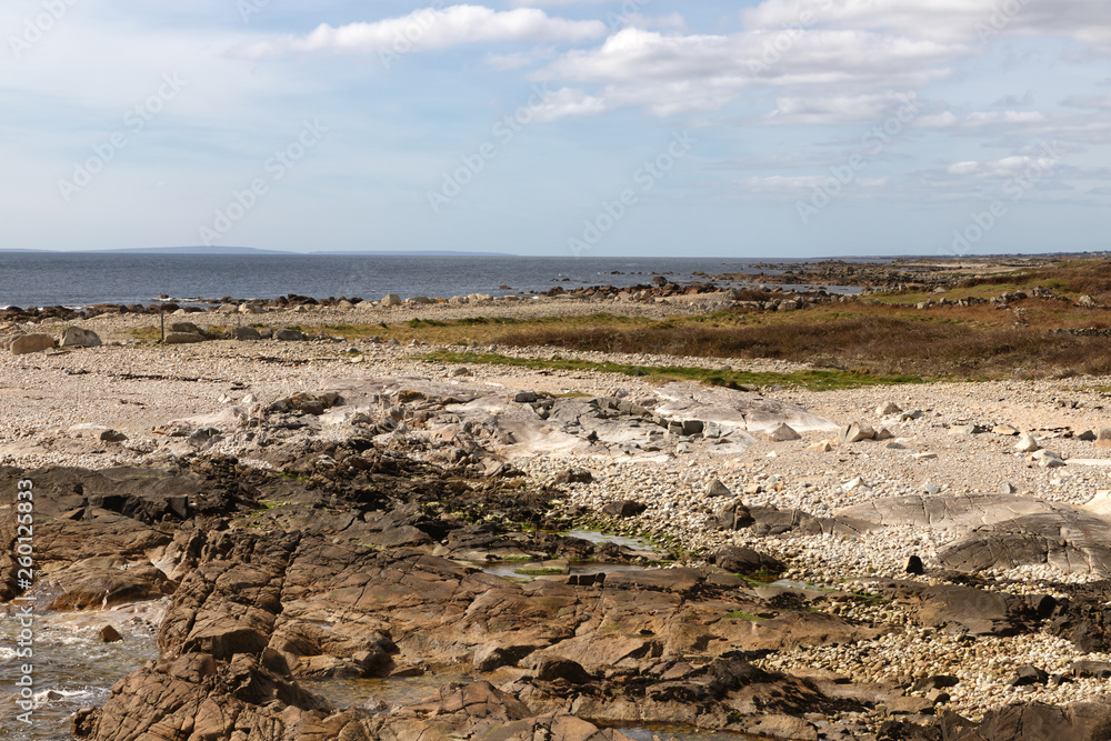 Beach with rocks and vegetation in Galway Bay
