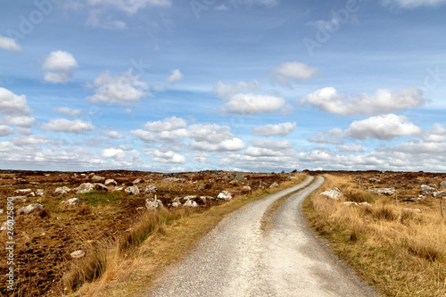 Farm road in a bog with typical vegetation and rocks
