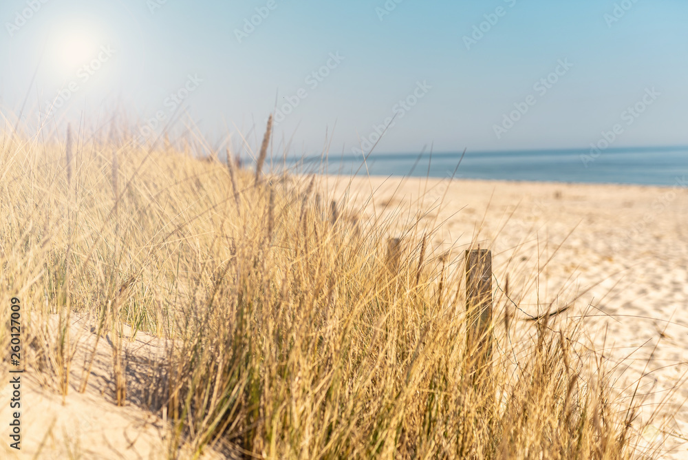 Hel- Naturalna Plaża - obrazy, fototapety, plakaty 