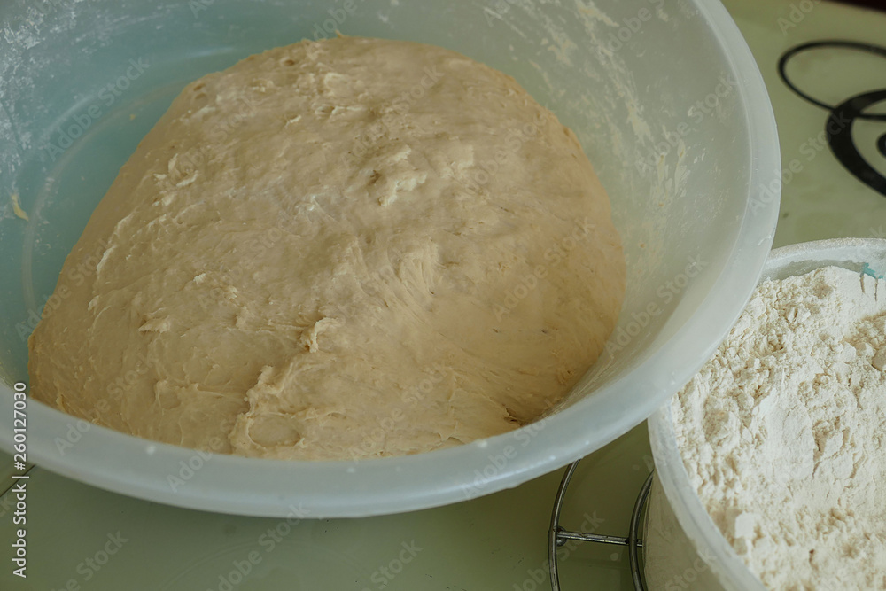 a large amount of fermented dough in the container,