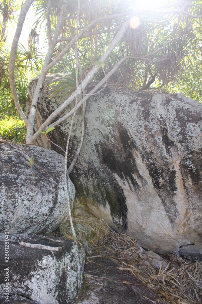 Fototapeta premium seychelles private island beach sun
